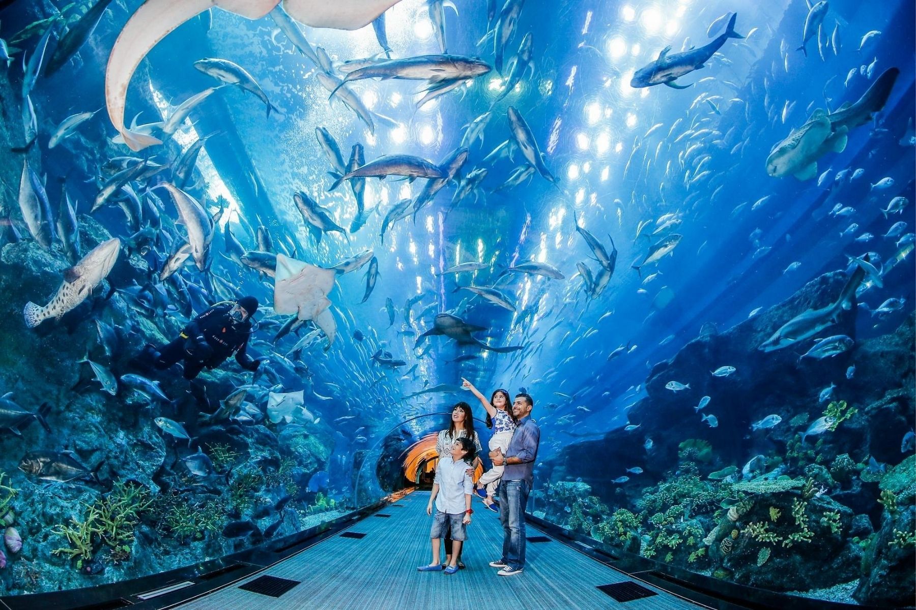 Dubai Mall Aquarium