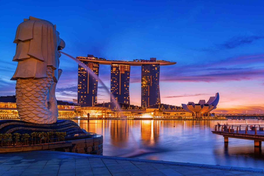 Singapore Delight
